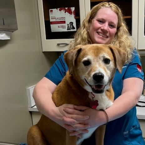 Full Services Practice Full Services Practice