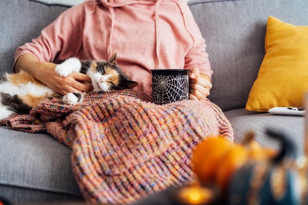 cat with old lady 