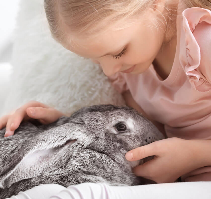 girl with bunny