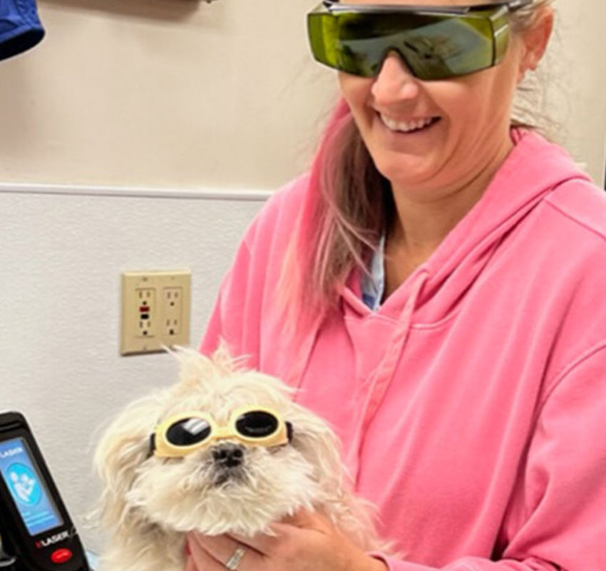 laser therapy in action