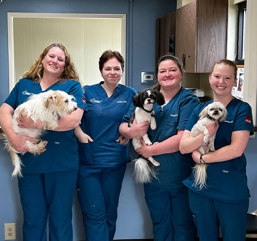 vet staff