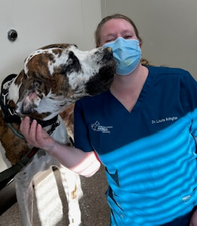 veterinarian-with-pet-in-cincinnati